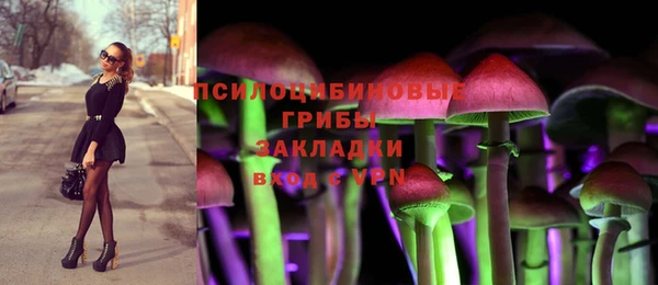 соль курить ск Гусиноозёрск
