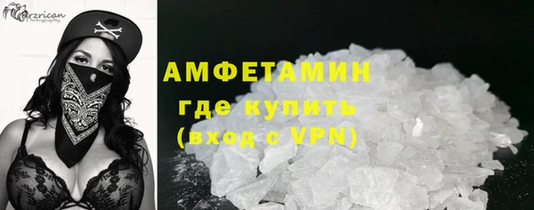 шишки Заволжск