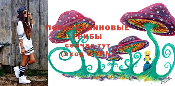 эйфоретик Куйбышев