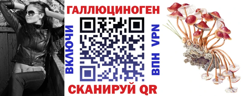 ОМГ ОМГ ссылка  Краснокаменск  Галлюциногенные грибы Magic Shrooms 