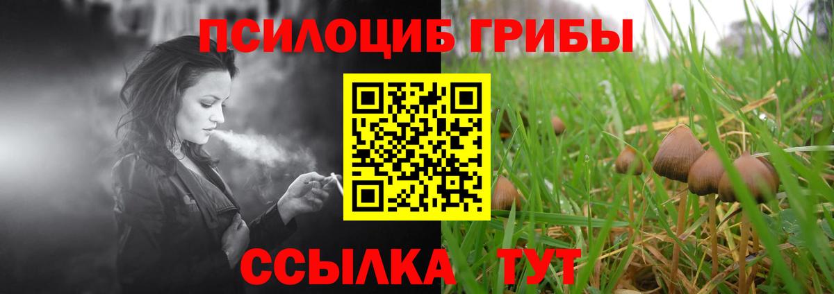 Краснокаменск  Псилоцибиновые грибы Cubensis  купить закладку  Вход с VPN 